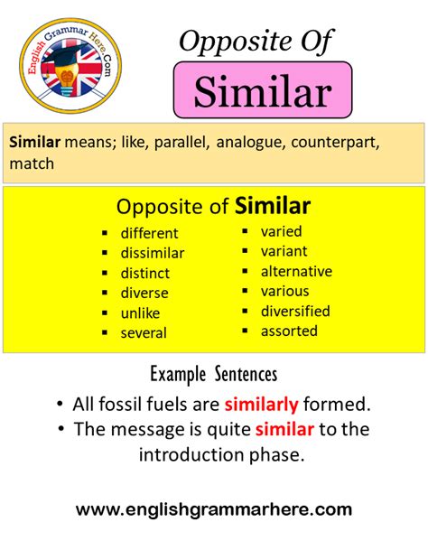 GAWK Synonyms: 173 Similar and Opposite Words